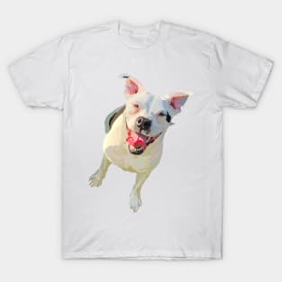 Pit bull puppy doodle T-Shirt